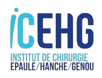 logo icehg